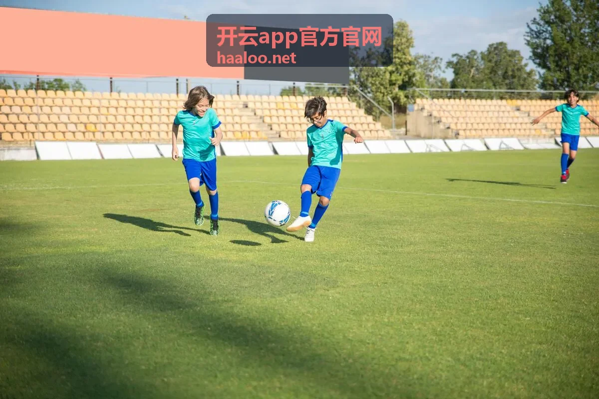 开云app官方官网客户端主界面截图
